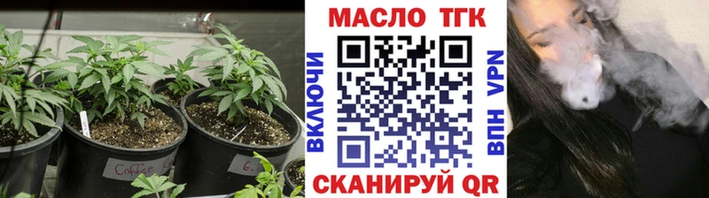 ТГК концентрат  дарк нет формула  Звенигород 